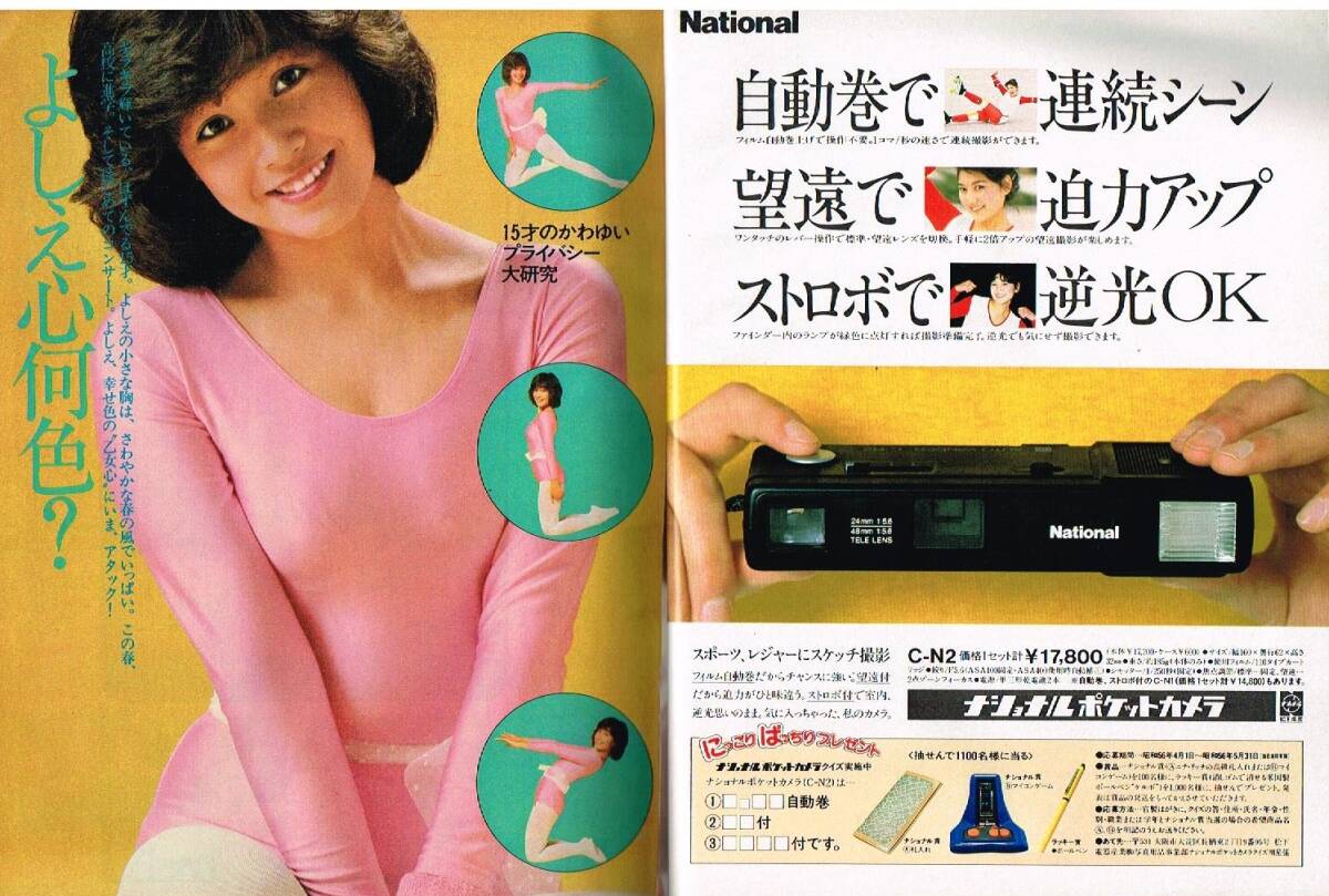 s3547 美品 明星 1981年 昭和56年 柏原よしえ 松田聖子 河合奈保子 石野真子 榊原郁恵 藤谷美和子 伊藤つかさ 西城秀樹 沖田浩之 長渕剛拍卖