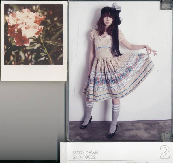 メグMEG/DAWN LIMITED EDITION 拍卖