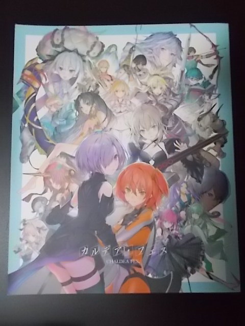 同人誌 Fate カルデア・フェス ELEVEN11NINE9 条件付き送料無料拍卖