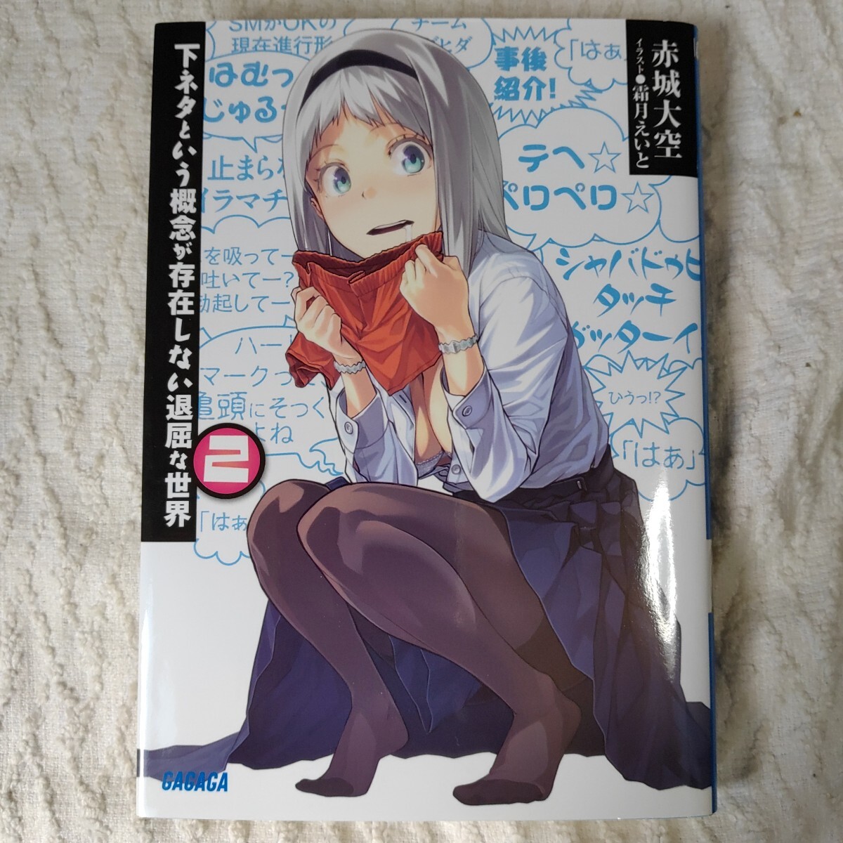 下ネタという概念が存在しない退屈な世界 (2) (ガガガ文庫) 赤城 大空 霜月 えいと 9784094513769拍卖