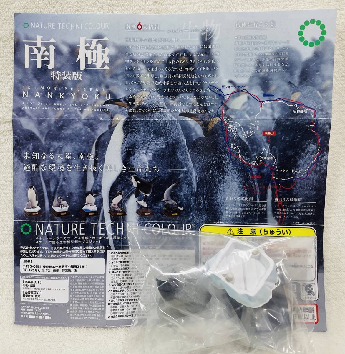 在庫ラスト1個!★南極 特装版 コウテイペンギン ヒナ★NATURE TECHNI COLOUR The South Pole ネイチャーテクニカラー フィギュア拍卖