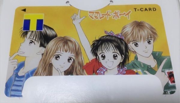 匿名配送 Vポイントカード ママレード・ボーイ ママレードボーイ 新品 未登録 Tカード拍卖