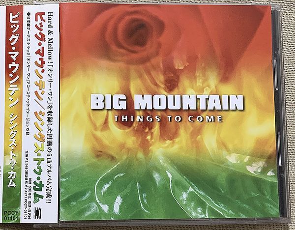 CD ビッグ・マウンテン シングス・トゥ・カム Big Mountain Things To Come PCCY-01401拍卖