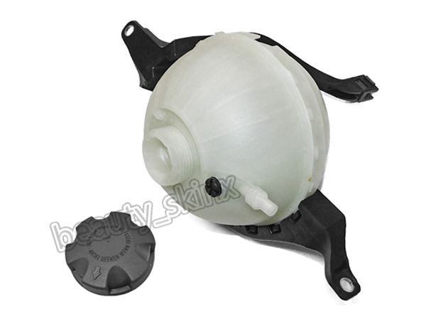 BMW F07 F10 F11 LCI エクスパンション/サブタンク + タンクキャップ 17138614293 17117521071 セダン ツーリング 520i 528i 528iX 他 新品拍卖