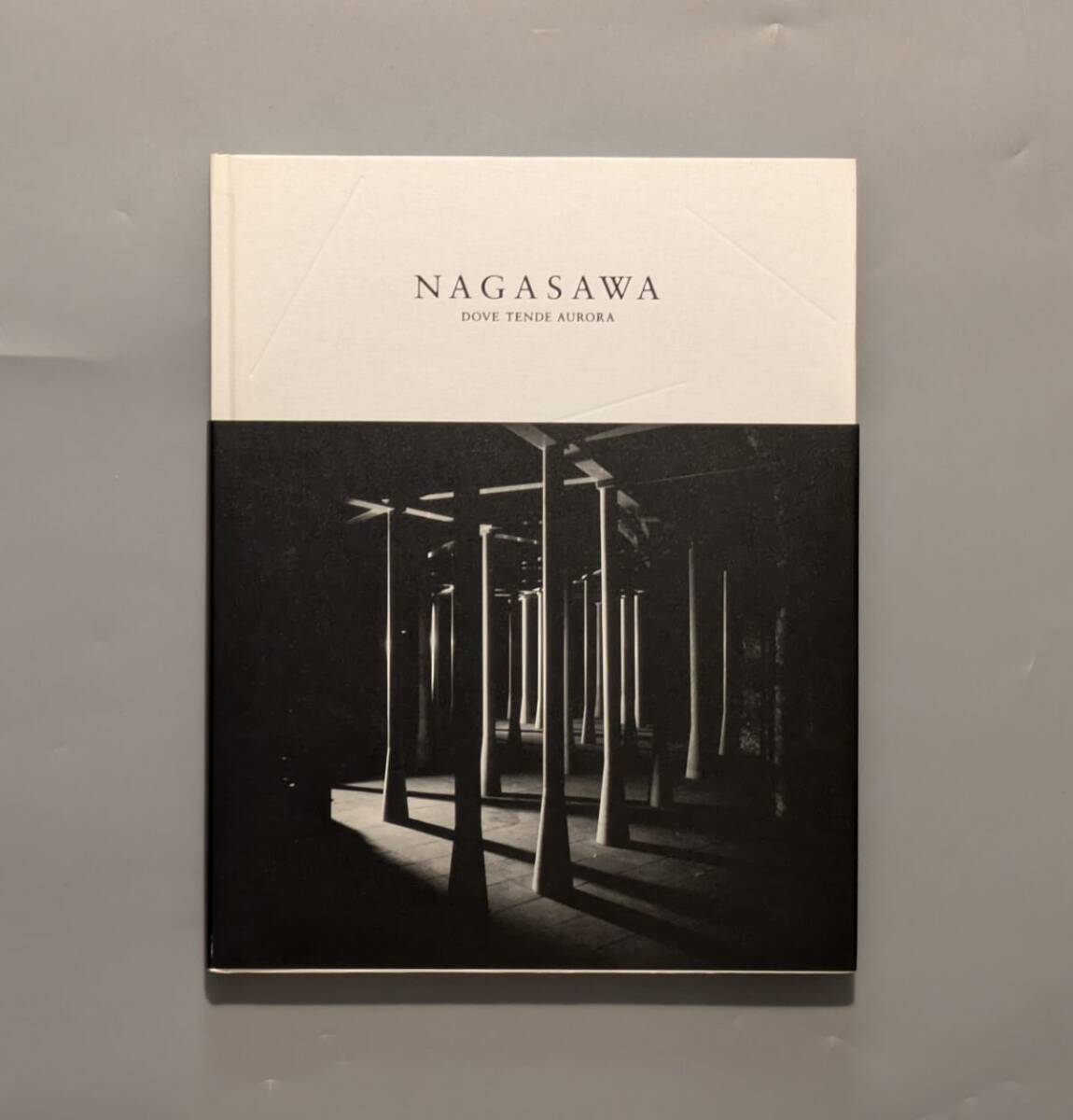 図録 長澤英俊 オーロラの向かう所 NAGASAWA DOVE TENDE AURORA / 2009年拍卖