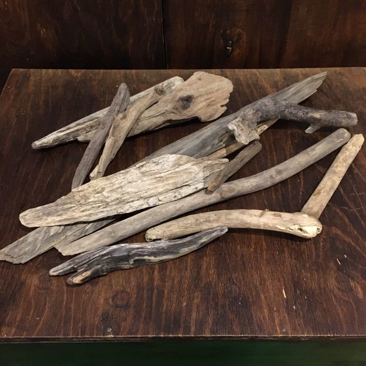 流木 12本セット 煮沸済み アクアリウム ハンドメイド パーツ アンティーク拍卖