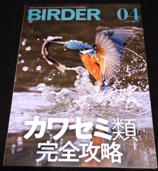 BIRDER (バーダー) 2022年 4月号/カワセミ類 完全攻略★アカショウビン ヤマショウビン ヤマセミ 翡翠 バードウォッチング 野鳥 拍卖