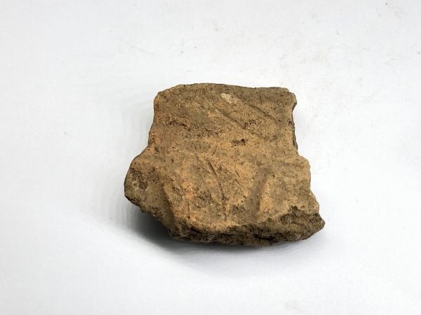 【土器】縄文~ 『番後台遺跡周辺の出土土器片』 昭和40年代発掘 収蔵品28 発掘品/出土品/破片/実物 L1022G拍卖