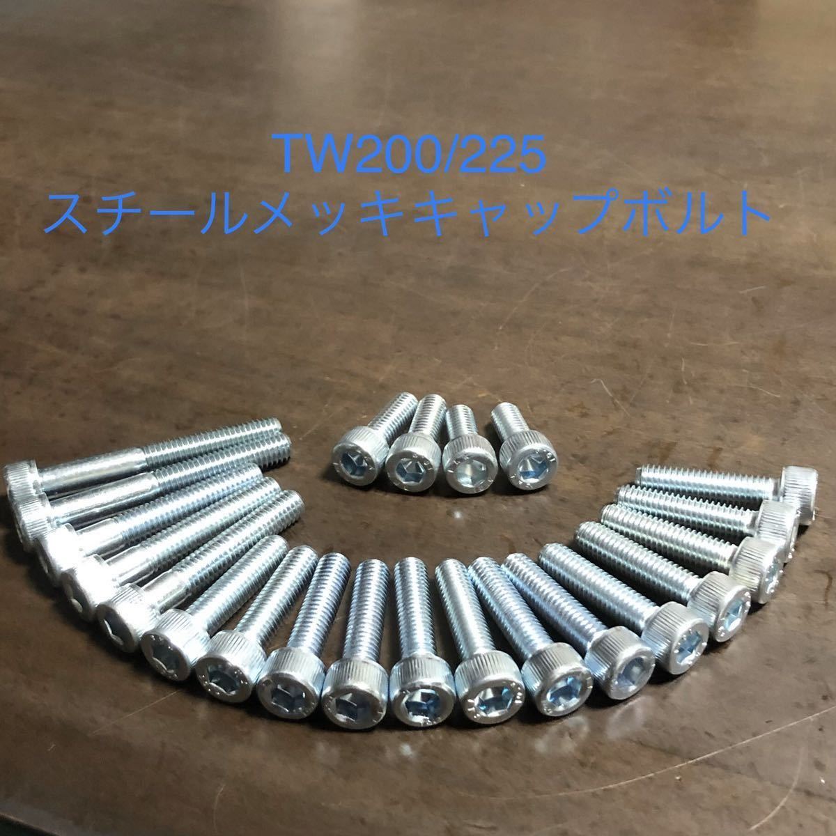 TW200 225 エンジンカバーボルト スチール製メッキキャップスクリュータイプ 安心の日本製 TW全年式対応拍卖