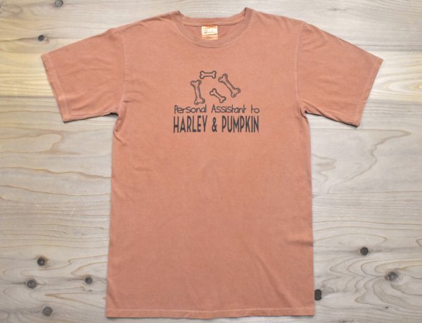 USA古着 後染め HARLEY & PUMPKIN ロゴ Tシャツ sizeM 黄茶 ブラウン オレンジ 犬 ドッグ 骨 ボーン アメリカ アメカジ Port&Authority拍卖
