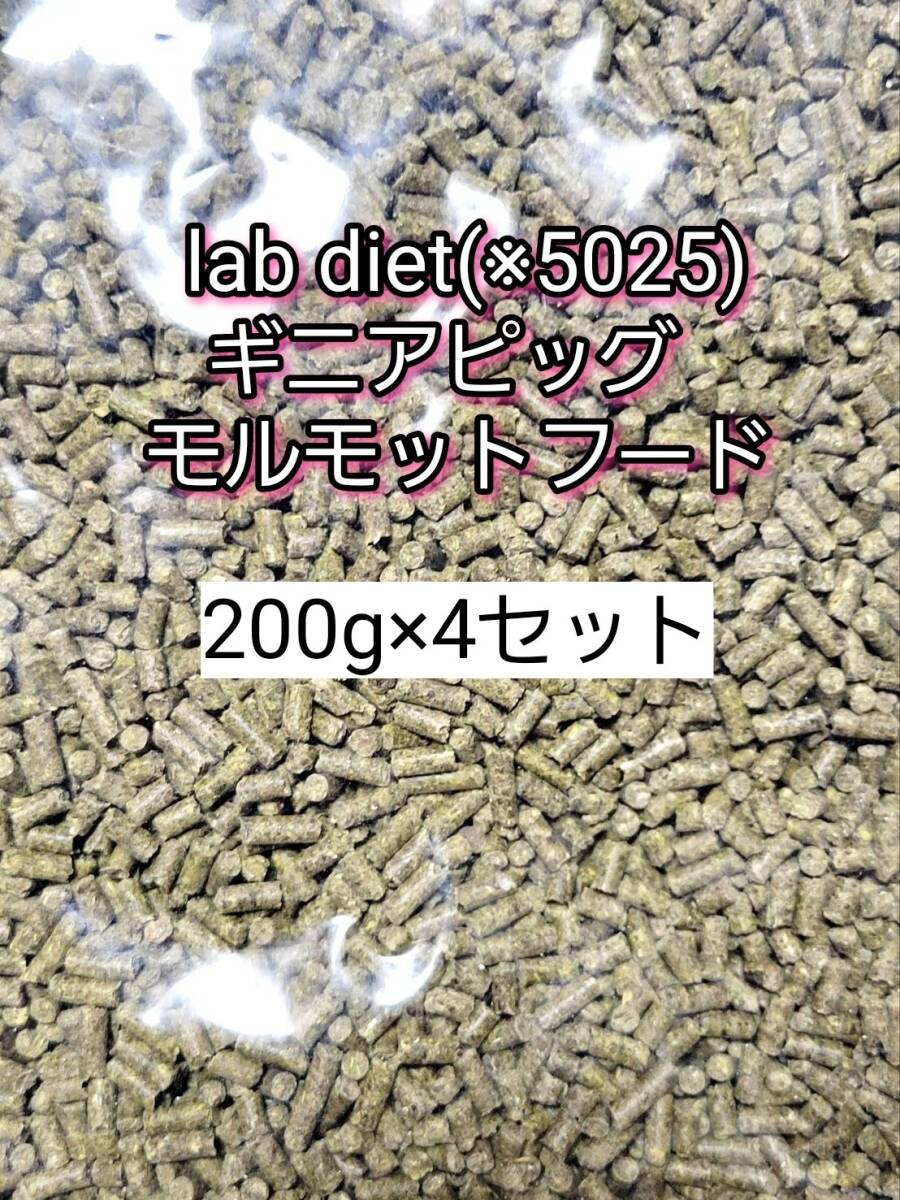 ギニアピッグ ラブダイエット 5025 モルモットフード 200g 4セット lab diet デグー チンチラ モルモット 小動物拍卖
