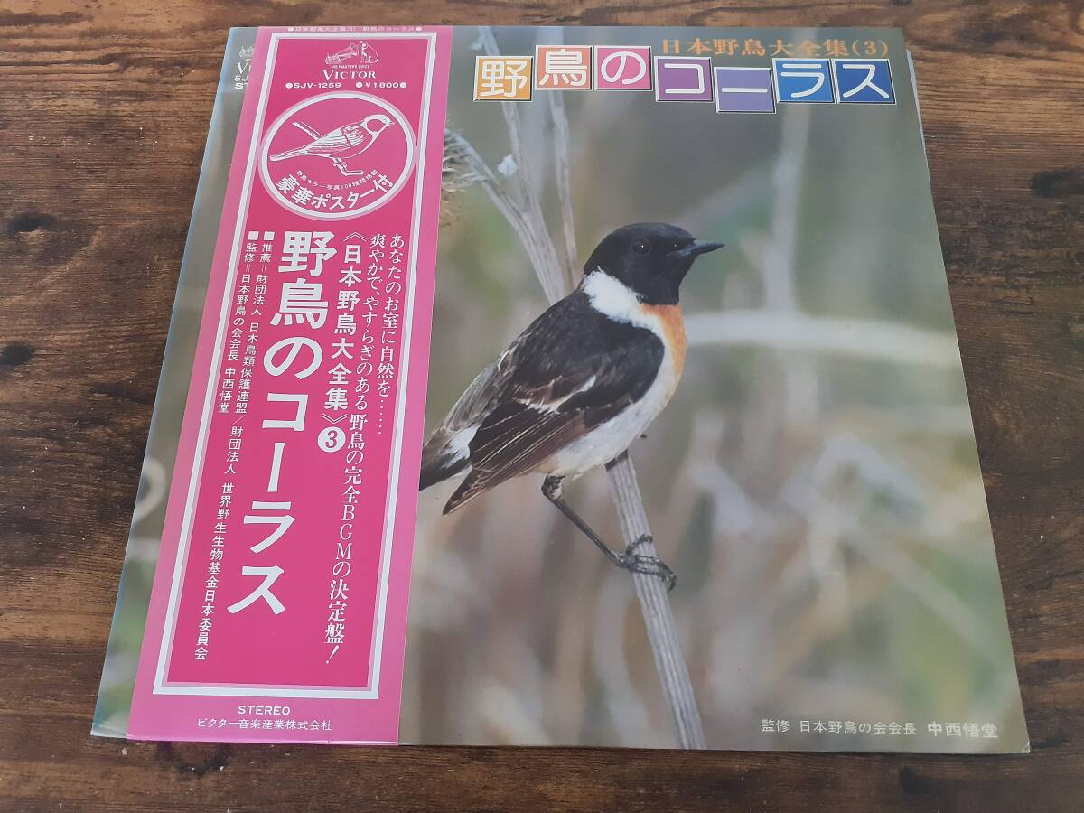 L5300◆LP* / 3枚セット日本野鳥大全集(1)(2)(3)/ 野鳥の生活 ・野鳥の100種類・野鳥のコーラス拍卖