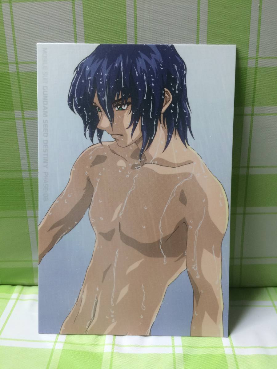 メガハウス 機動戦士ガンダムSEED DESTINY フォトコレクション アスラン・ザラ シャワー 047 フォトコレ ブロマイド カード ザフト拍卖