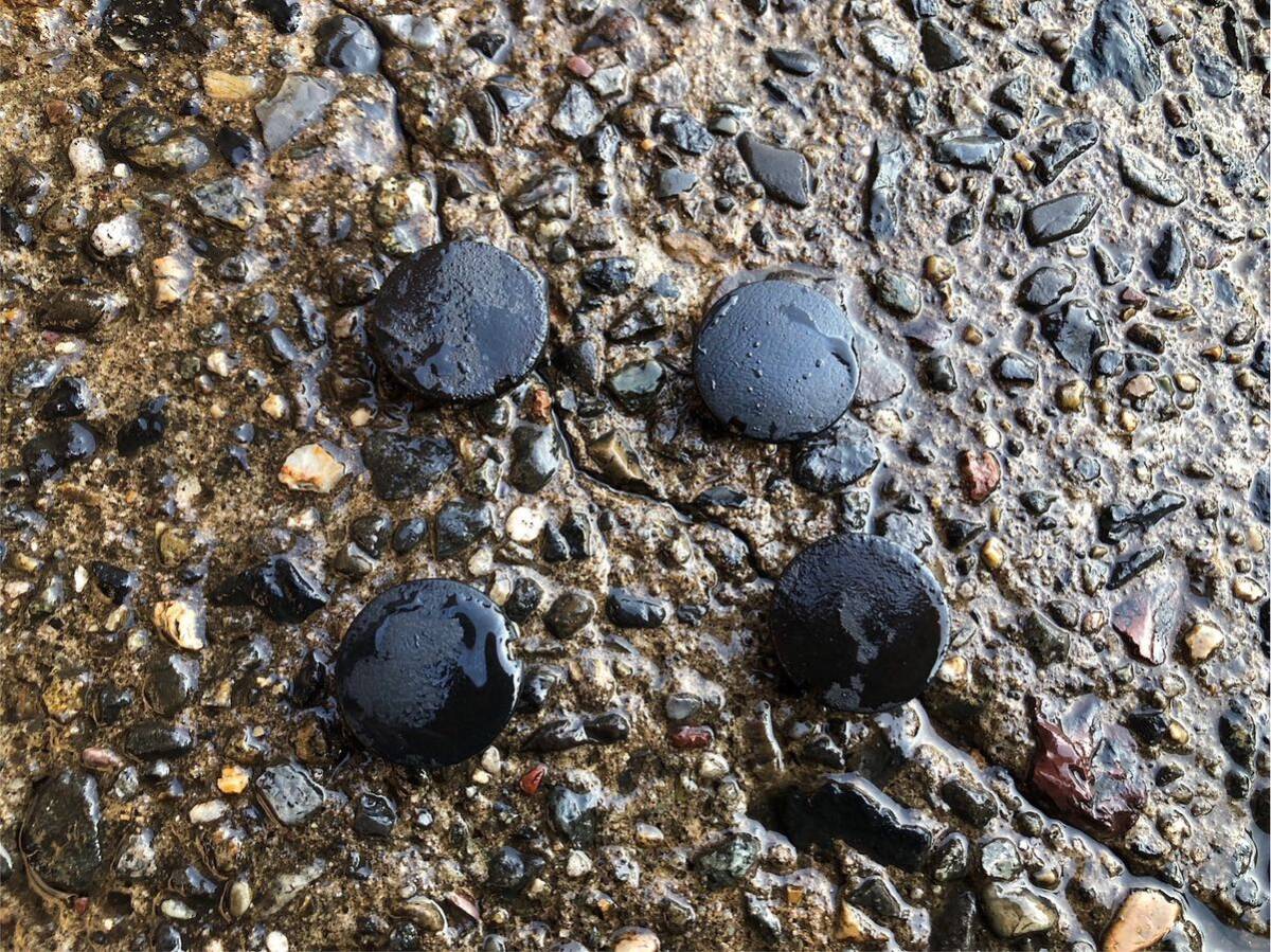 【54446】 ヤマハ ジョグ SA36J (6265番台〜) ステップボード用・・・ ゴム キャップ SA39J SA55J拍卖