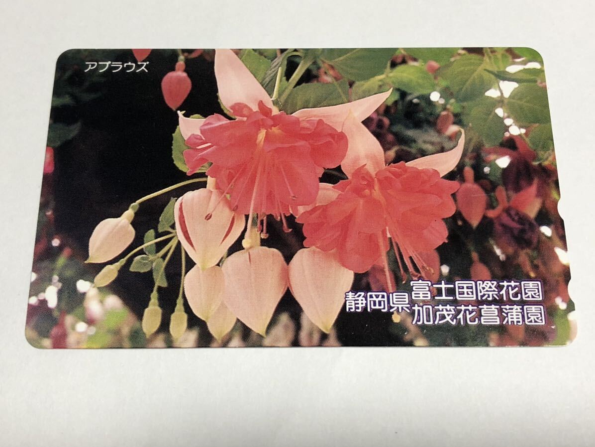 レア 希少品 静岡県 富士国際花園 加茂花菖蒲園 フクシア ? アプラウズ テレホンカード 50度数 未使用品 長期保管品 送料無料!!拍卖