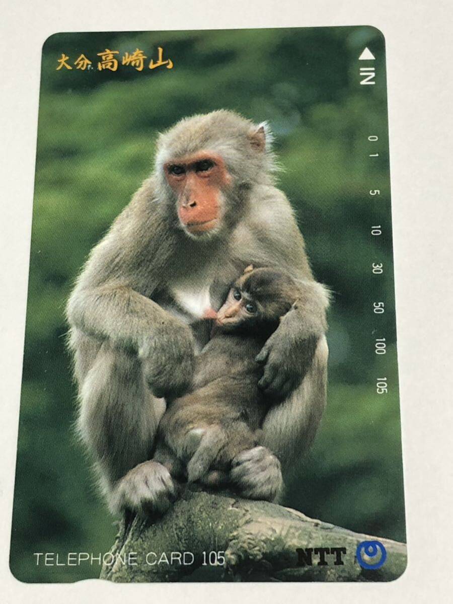 レア 希少品 90年代物 大分 高崎山 自然動物園 猿 親子 テレホンカード 105度数 未使用品 NTT 長期保管品 送料無料!!拍卖