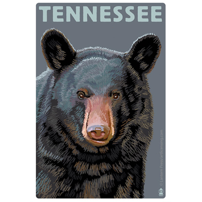 ★d7 gs UV加工 防水加工 ステッカー シール 海外旅行 スーツケース 5926 Tenne 10拍卖