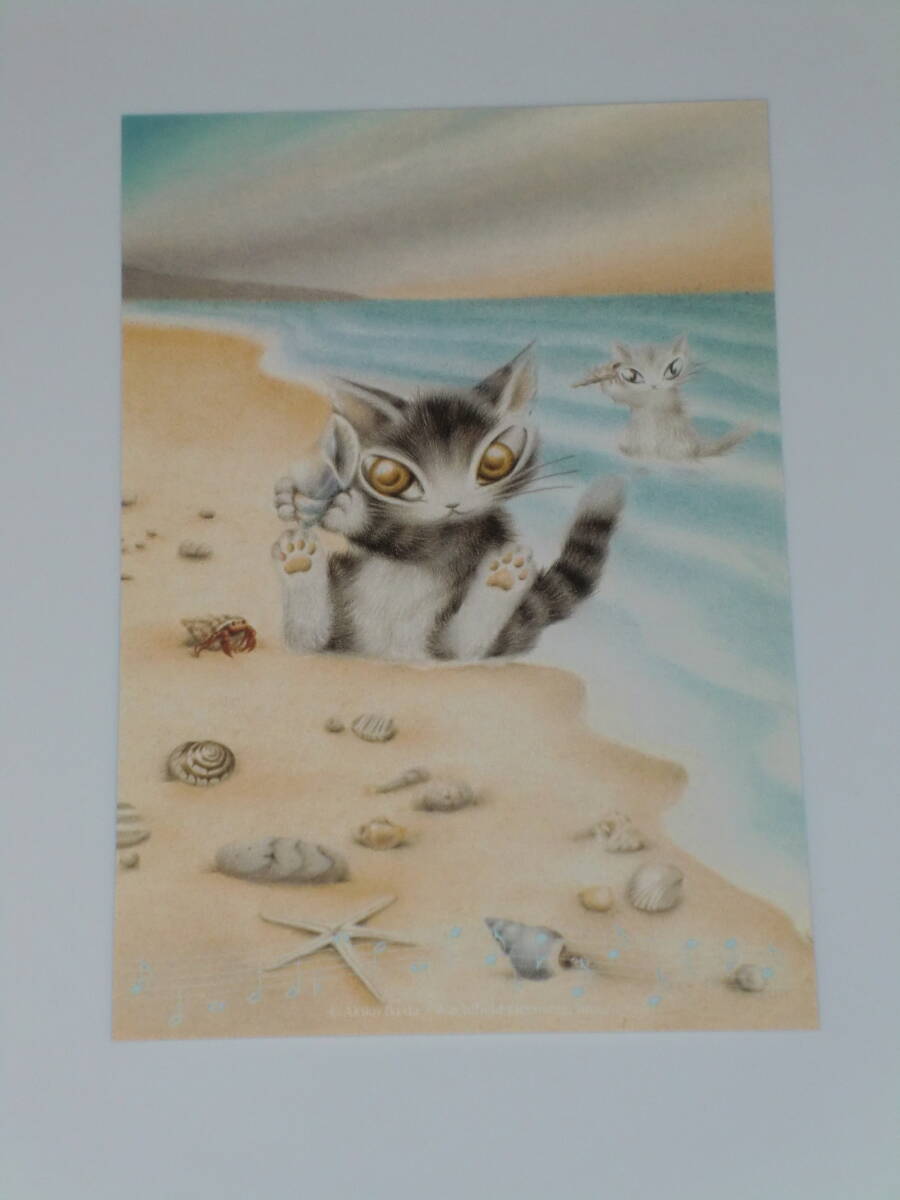 非売品 ⑭ ☆ わちふぃーるど ダヤン ポストカード ☆ WACHIFIELD DAYAN イラストカード拍卖