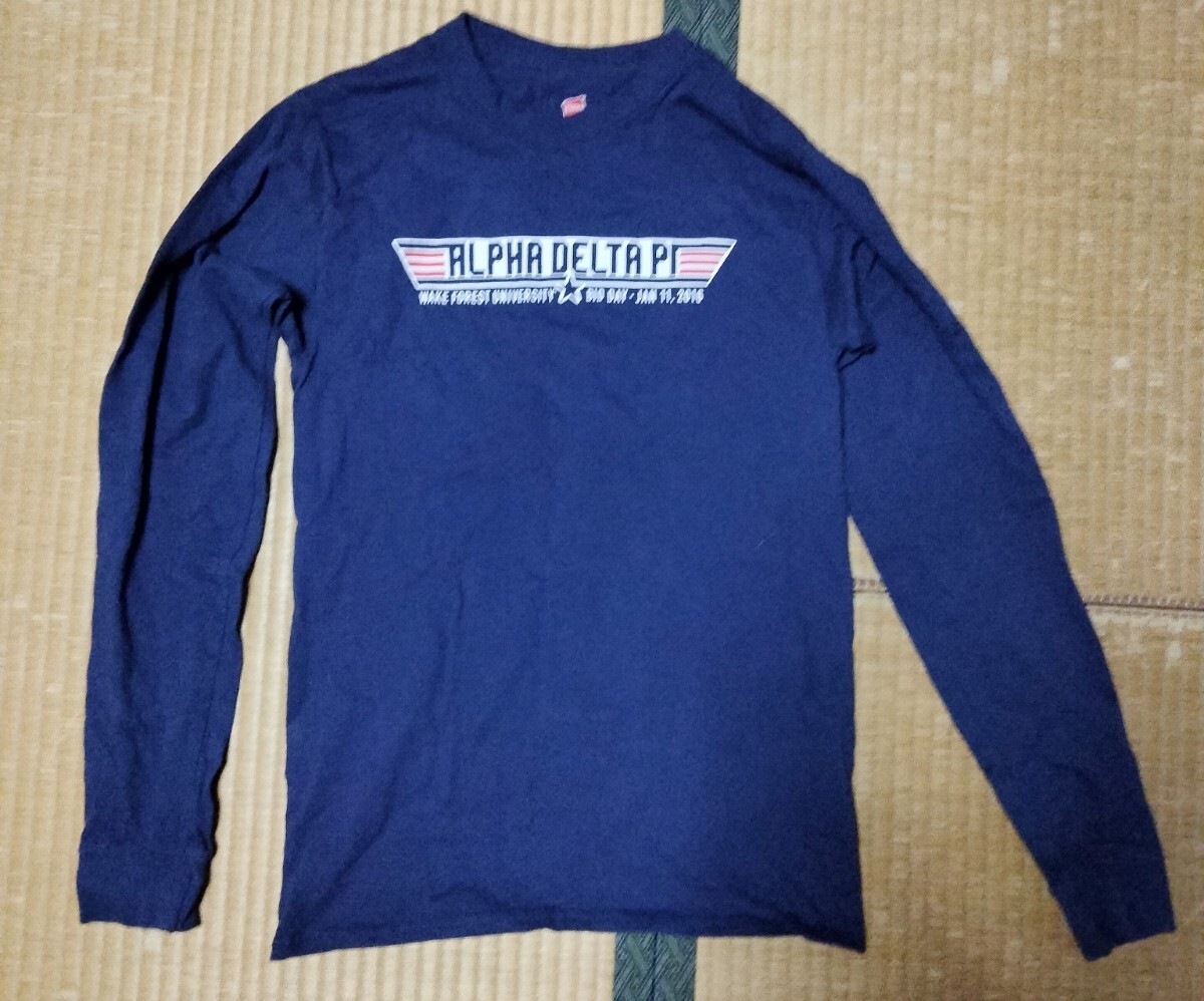 Hanes ヘインズ Tシャツ カットソー アルファデルタパイ alpha delta pi グラフィック イラスト 空軍 エアフォース拍卖