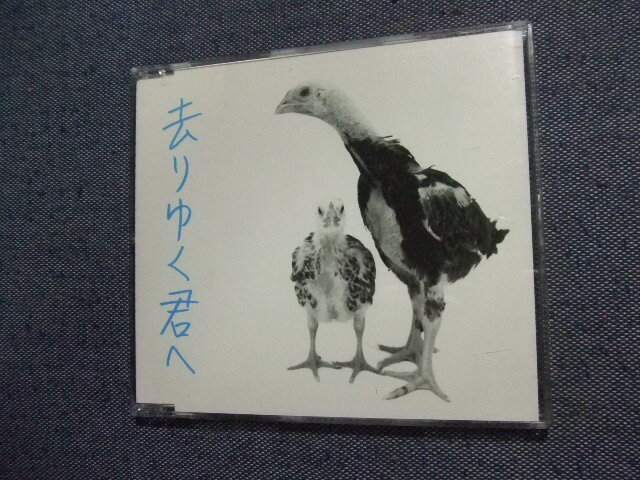 CD★去りゆく君へ (CCCD)ザ・ベイビースターズ★8枚まで送料160円 へ拍卖