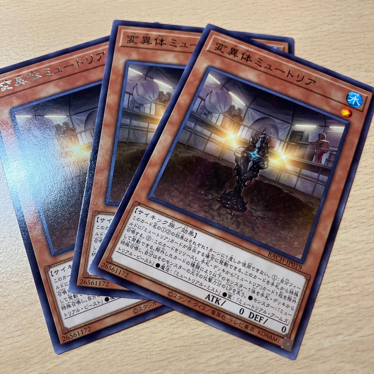 遊戯王 第11期/07弾/BACH-JP019 変異体ミュートリア R 三枚まとめ売り拍卖