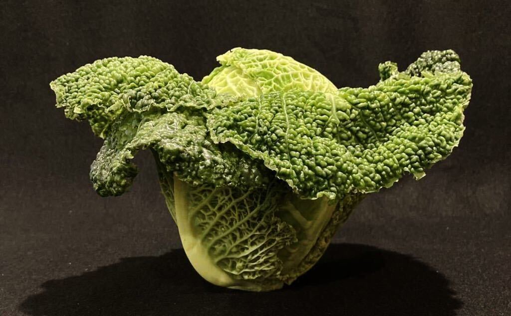 食品サンプル野菜 ちりめんキャベツ拍卖