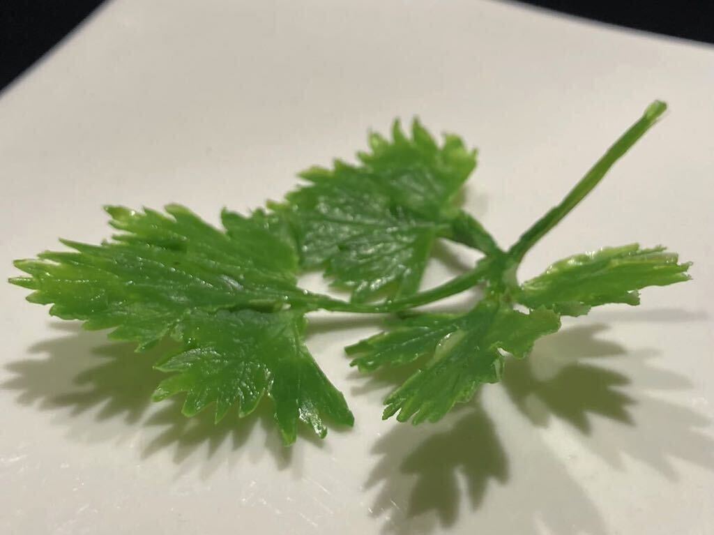 食品サンプル イタリアンパセリ 針金入り拍卖