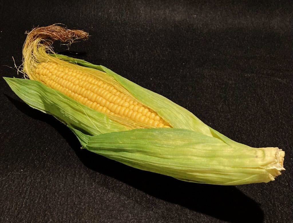 食品サンプル とうもろこし 皮ひげ付き B拍卖