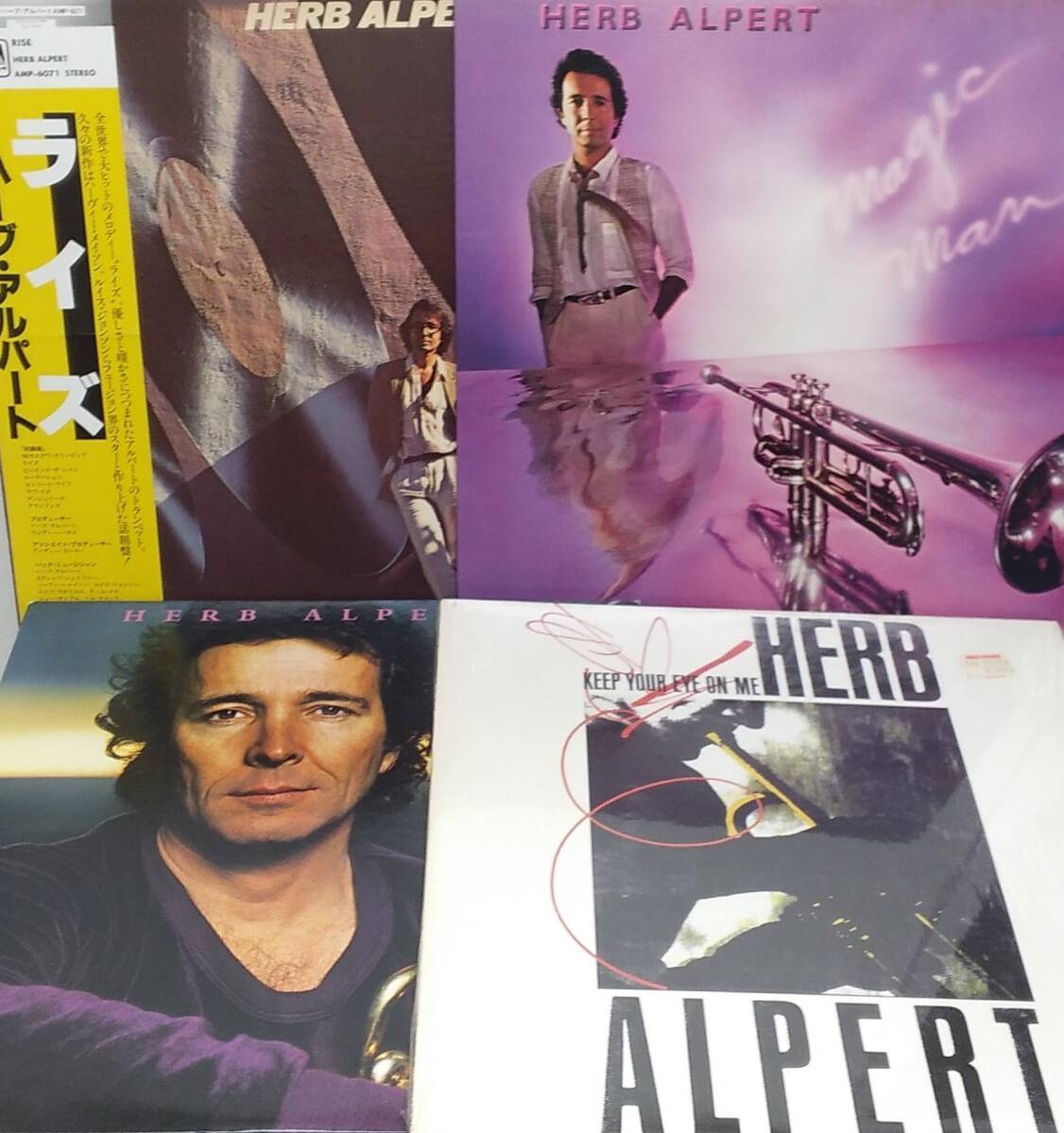 匿名・送料無料! ハーブ・アルパート/Herb Alpert LPレコードレコードセット 「Rise/Beyond/Magic Man/ Keep Your Eye On Me」拍卖