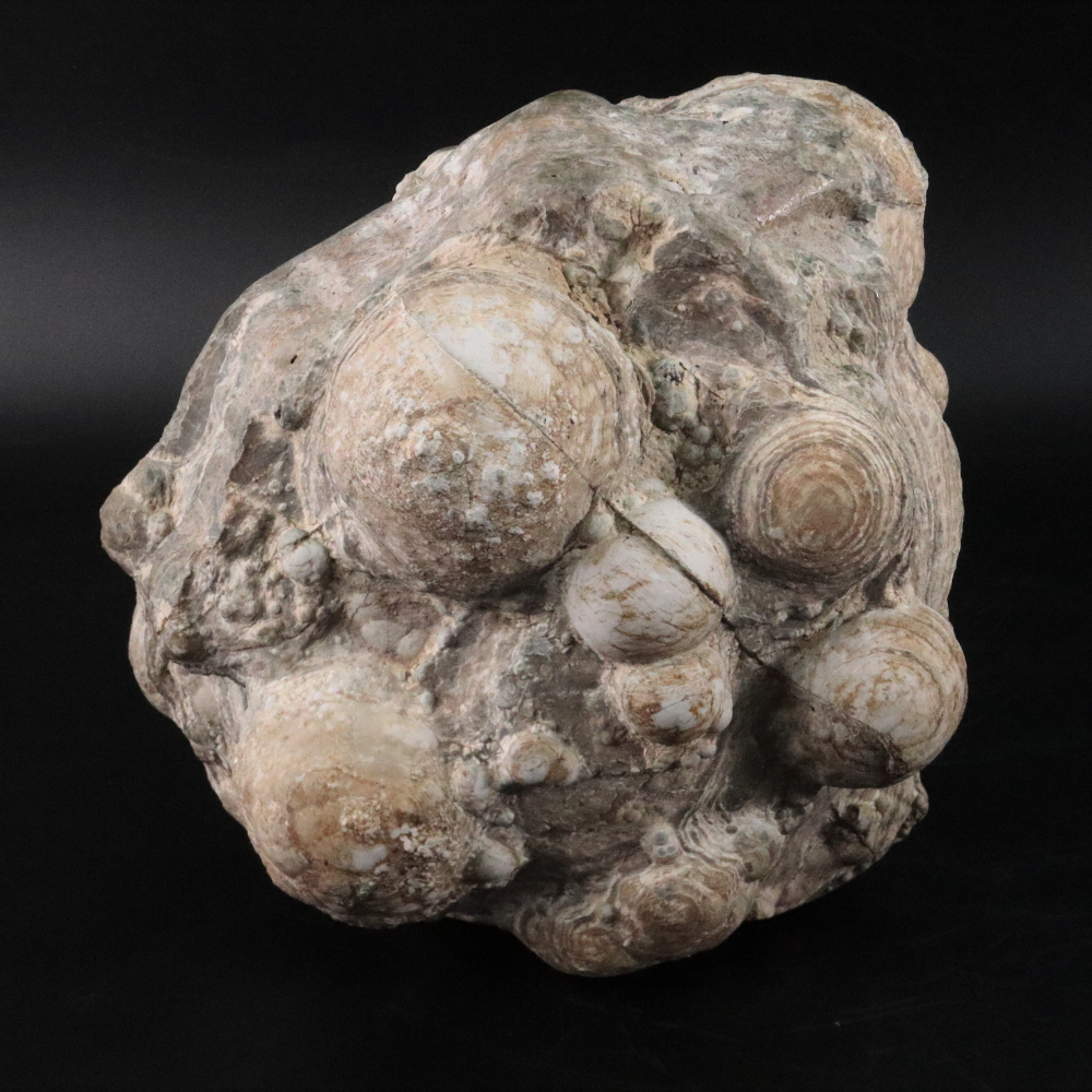 ◆◇球顆流紋岩 北海道 11.3kg 天然石 自然石 鑑賞石 鉱物 原石◇◆拍卖