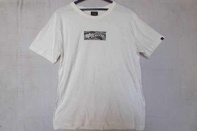 ALPHA INDUSTRIES,Inc/アルファ/半袖Tシャツ/フロントプリント/カモフラ柄プリント/ミリタリー/オフホワイト/白/Lサイズ(9/20R)拍卖