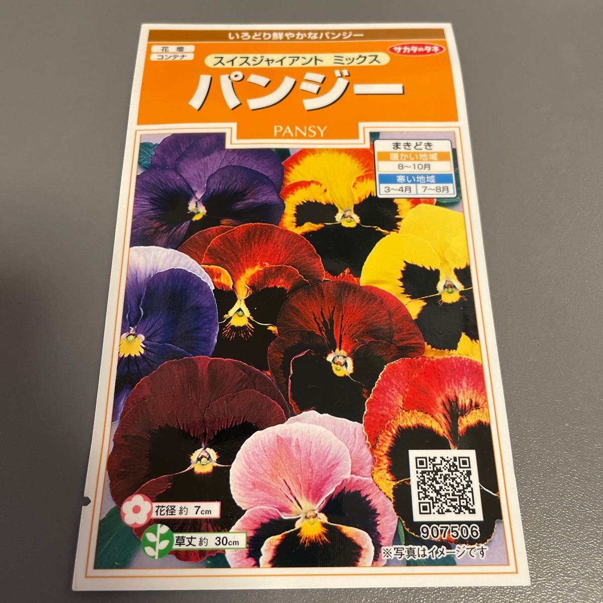 【未開封】パンジーの種 スイスジャイアントミックス カラーミックス サカタのタネ 拍卖