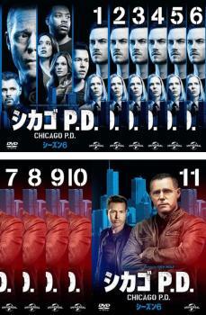 シカゴ P.D. シーズン6 全11枚 第1話~第22話 最終 レンタル落ち 全巻セット 中古 DVD 海外ドラマ拍卖