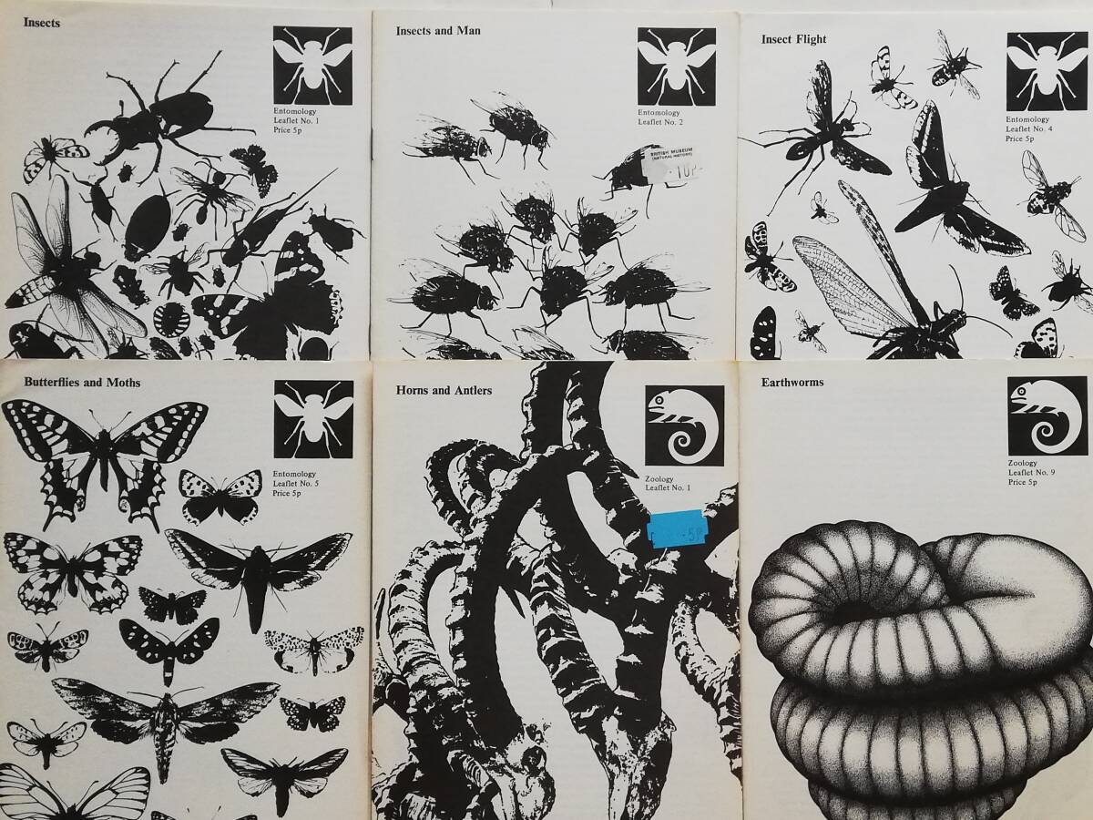 British Museum Natural History : Entomology / Zoology Leaflet 6点 1970s拍卖