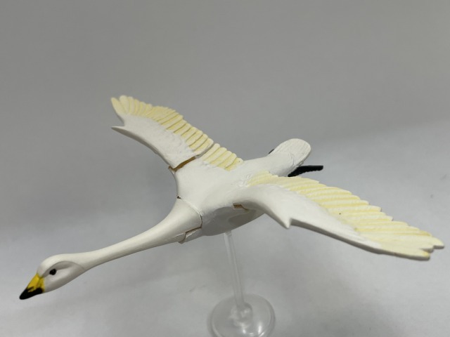 ■★Furuta チョコエッグ 動物シリーズ鳥編 019 オオハクチョウ(カモ目 カモ科)拍卖