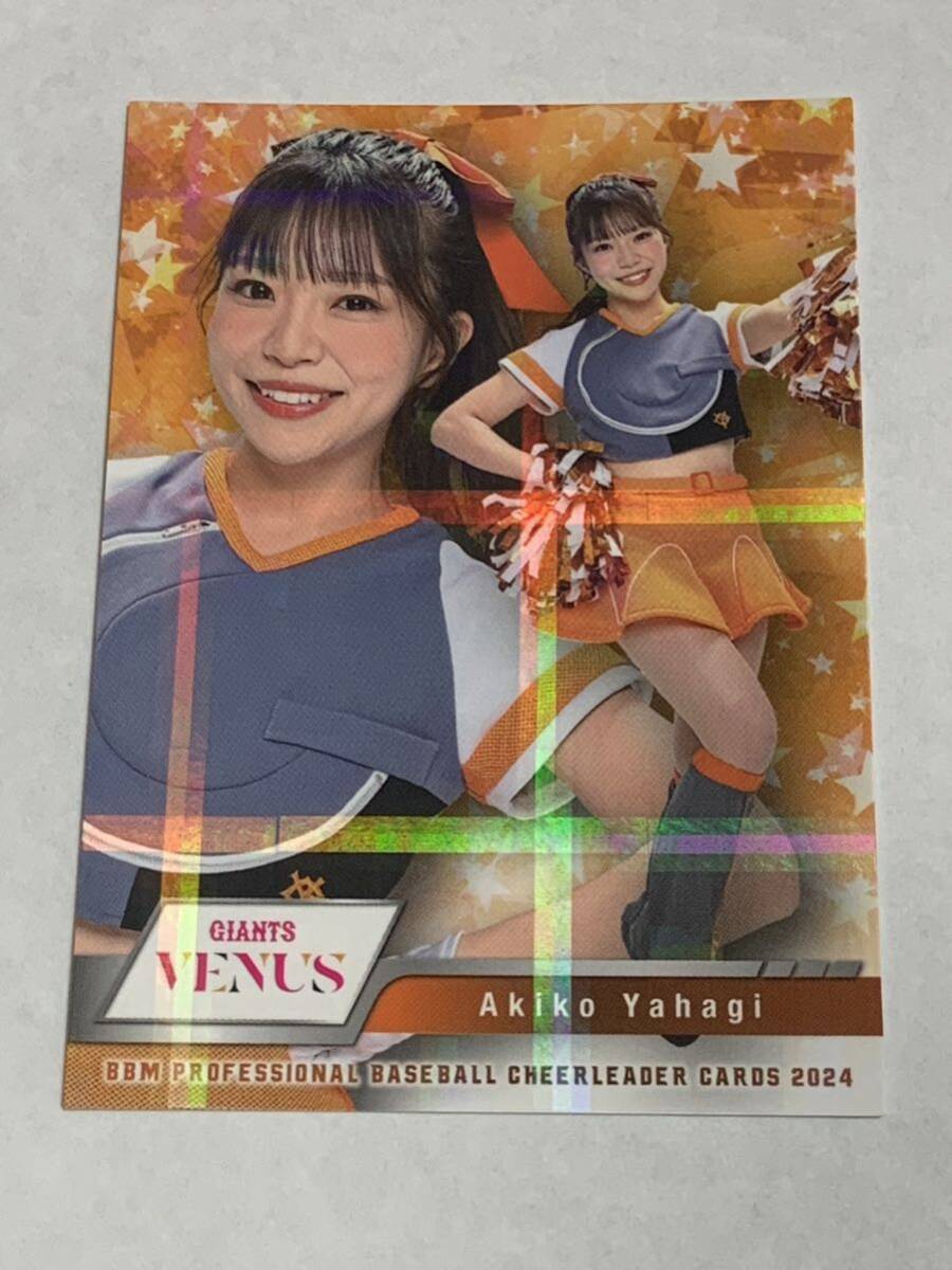 矢作明子 2024 BBM チアリーダー ホロPPパラレル ホロパラレル 巨人 読売ジャイアンツ VENUS 即決拍卖
