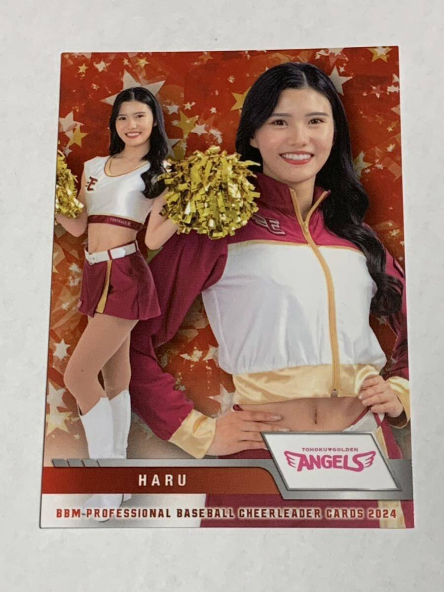 HARU 2024 BBM チアリーダー レギュラーカード 楽天 東北ゴールデンエンジェルス 即決拍卖