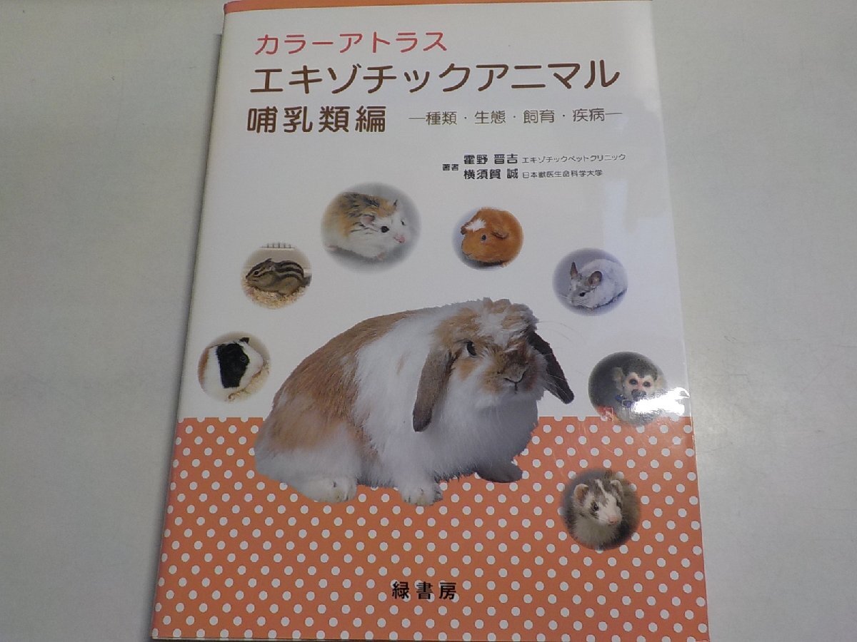 1U0090◆カラーアトラス エキゾチックアニマル 哺乳類編 種類・生態・飼育・疾病 霍野晋吉 緑書房▽拍卖