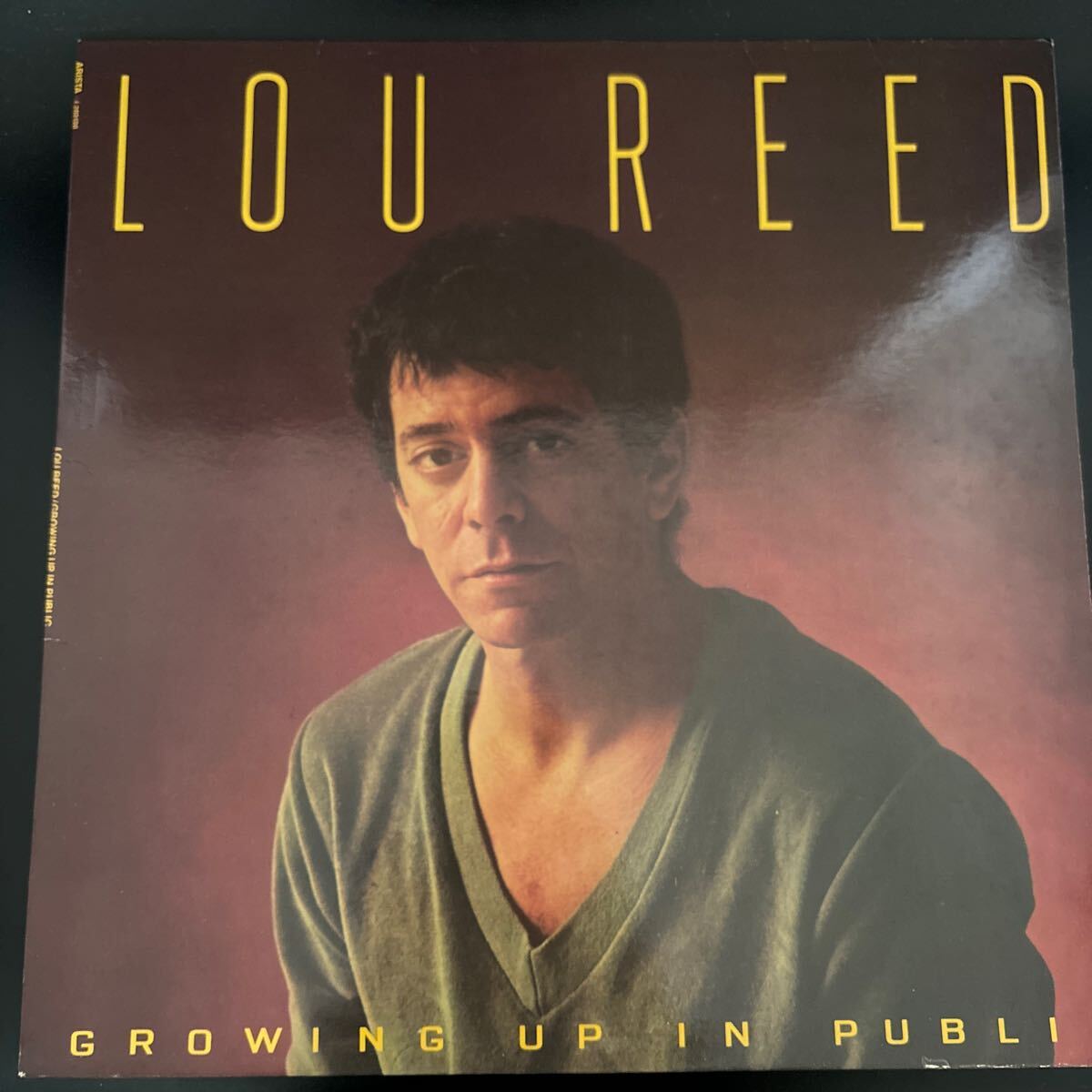 Lou Reed - Growing Up In Public ルーリード LP拍卖