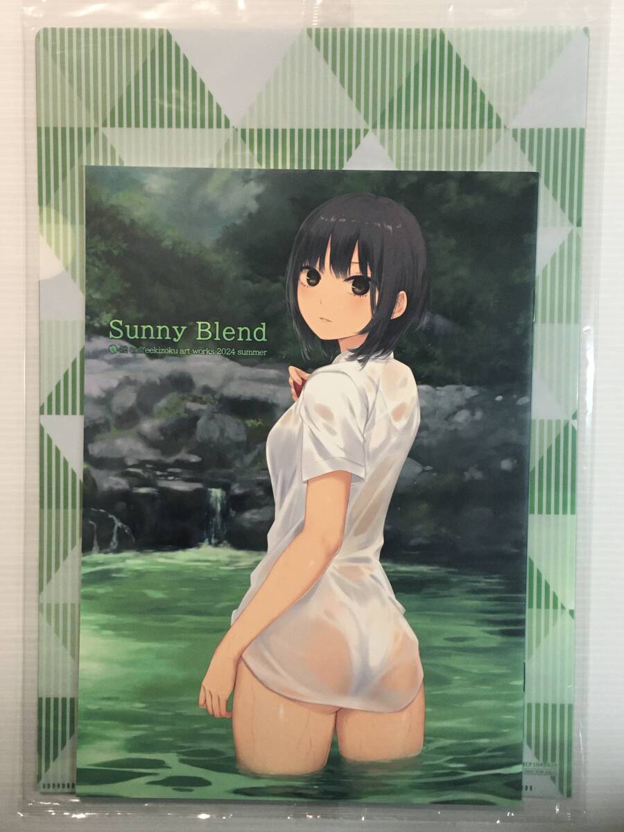 【SN240812A】Sunny Blend (A4クリアファイル付) / ロイヤルマウンテン 珈琲貴族 オリジナル拍卖