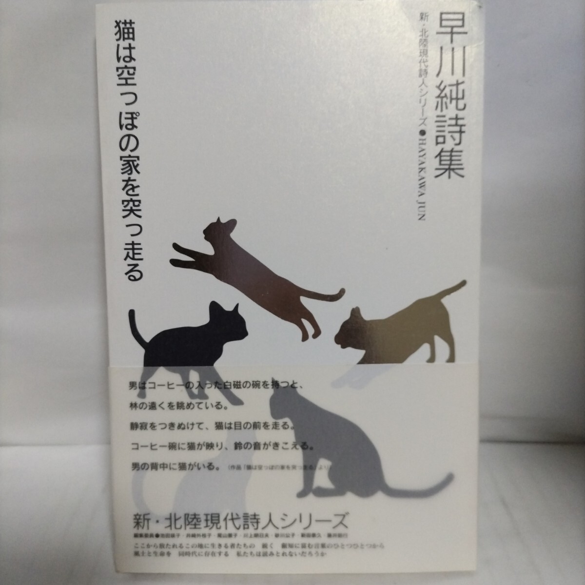 猫は空っぽの家を突っ走る 早川純詩集拍卖