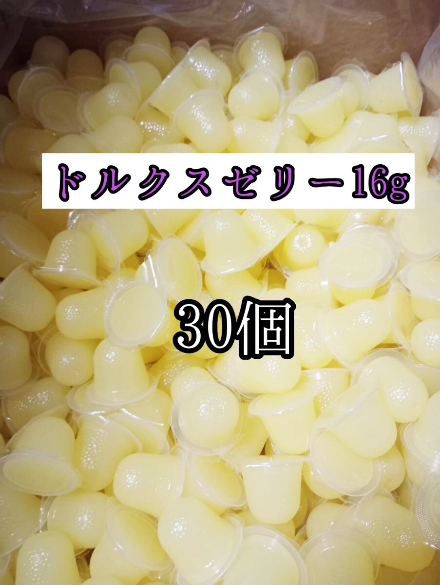 昆虫ゼリー フジコン ドルクスゼリーS16g 30個 クワガタ カブトムシ オオクワガタ フクロモモンガ ハムスター ハリネズミ 小動物拍卖