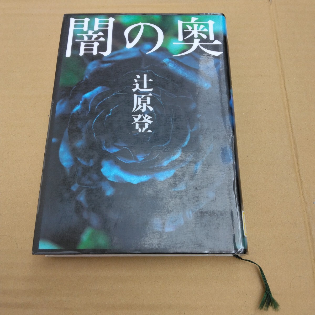 闇の奥 初版本 辻原登 文藝春秋 当時品 保管品拍卖