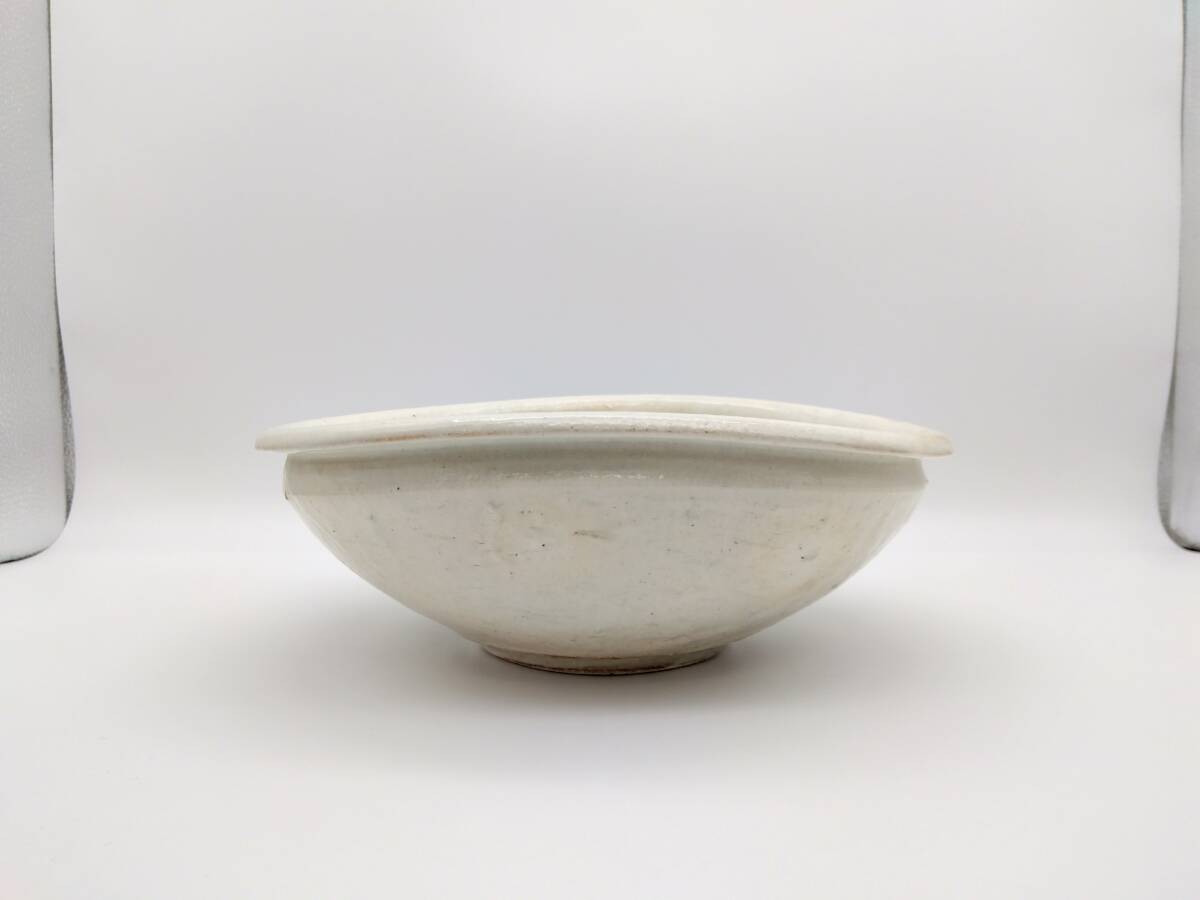 新品 信楽焼 お皿 楕円形 22cm 古谷製陶所 白 器 食器 和 鉢 盛鉢 FURUTANI POTTERY 日本製拍卖