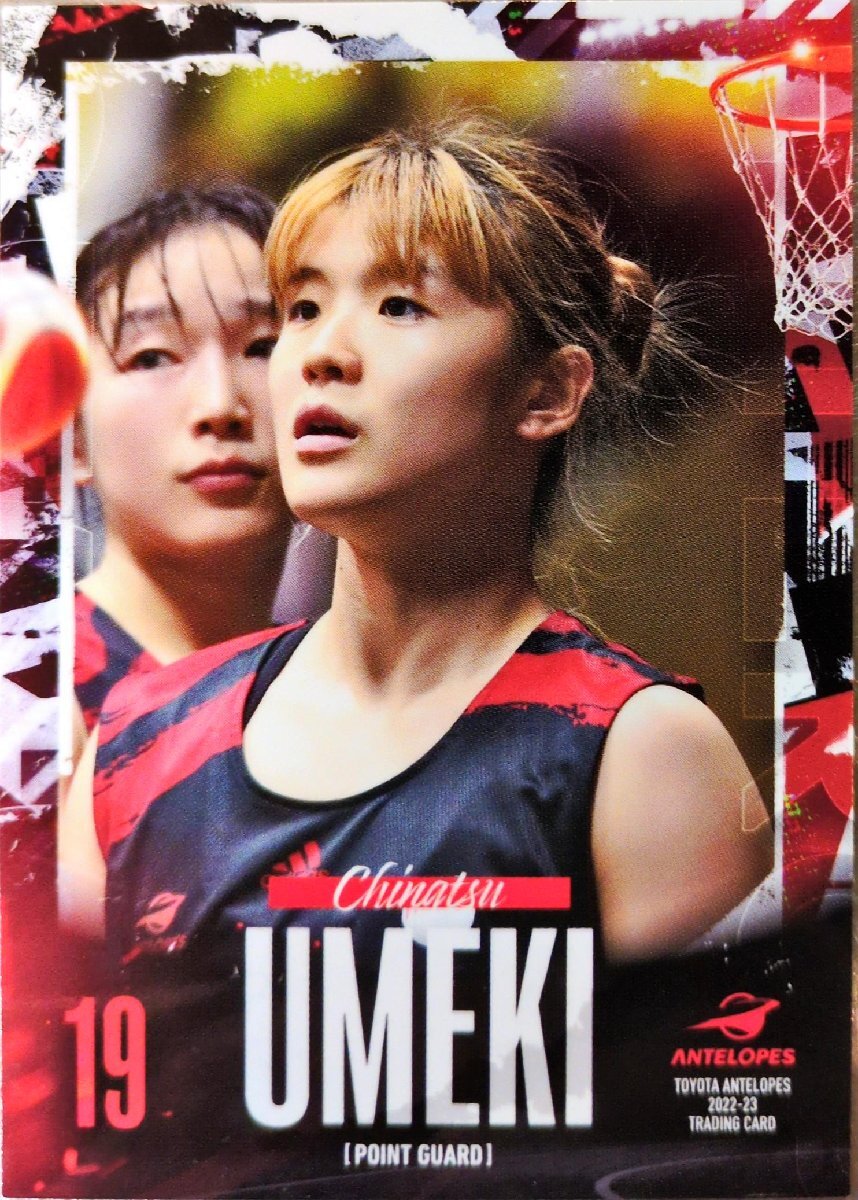 梅木千夏 トヨタ自動車アンテロープス トレーディングカード 41 レギュラーカード拍卖