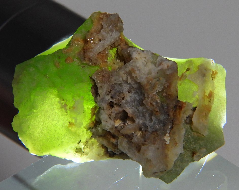 ☆☆ クリソプレーズ <オーストラリア> 10 ☆☆拍卖