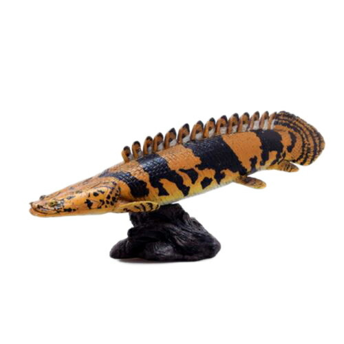 古代魚 恐竜 玩具 グッズ フィギュア ソフトモデルフィギュア ポリプテリス・エンドリケリー フェバリット 遊べる プレゼント 男拍卖