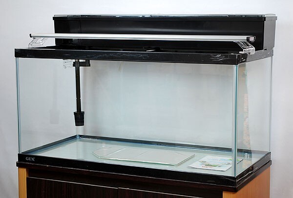 送料無料 GEX マリーナ90cm水槽 熱帯魚飼育11点セット 到着日時指定不可 北海道・沖縄・離島、別途送料拍卖