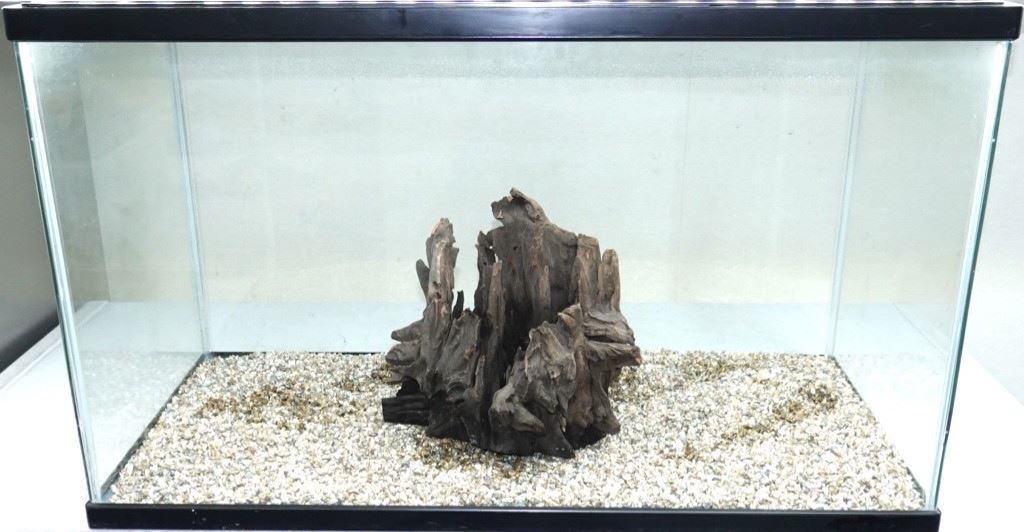 ソネケミファ スタンプウッドS 流木 1個 ※形状指定不可 形は来てからのお楽しみ! アク抜き処理済み拍卖