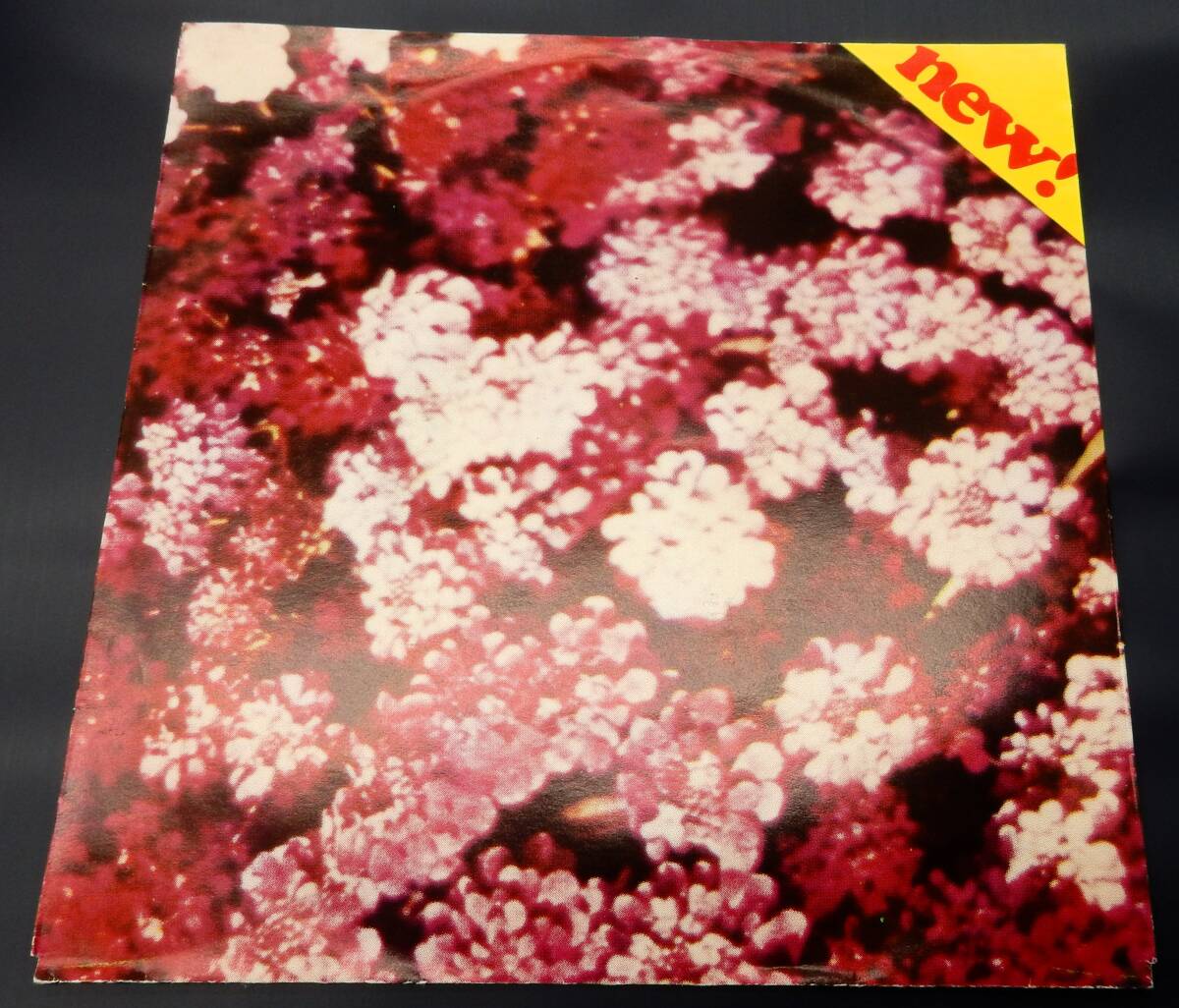 EP) SECTION VINGT CINQ JE VEUX TON AMOUR   SECTION25拍卖